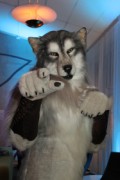 NordicFuzzCon 2016