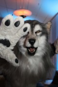 NordicFuzzCon 2016