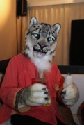 NordicFuzzCon 2016