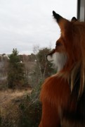 NordicFuzzCon 2016