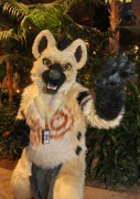 NordicFuzzCon 2017