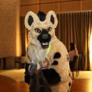 NordicFuzzCon 2017