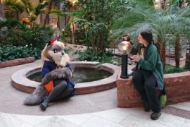 NordicFuzzCon 2017