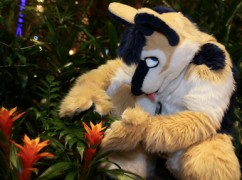 NordicFuzzCon 2017