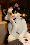 NordicFuzzCon 2017