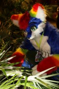 NordicFuzzCon 2017