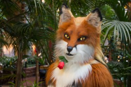 NordicFuzzCon 2017