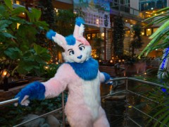 NordicFuzzCon 2018