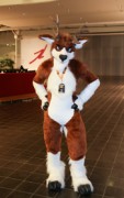 NordicFuzzCon 2018