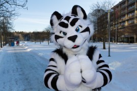 NordicFuzzCon 2018