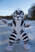 NordicFuzzCon 2018