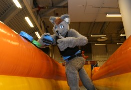 NordicFuzzCon 2018