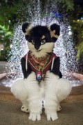 NordicFuzzCon 2018