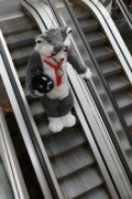 NordicFuzzCon 2018