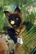 NordicFuzzCon 2019