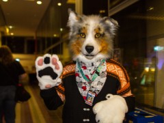 NordicFuzzCon 2019