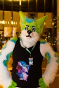 NordicFuzzCon 2019