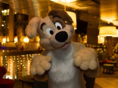 NordicFuzzCon 2019