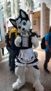 NordicFuzzCon 2019