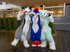 NordicFuzzCon 2019