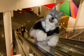 NordicFuzzCon 2019