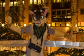 NordicFuzzCon 2019