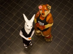 NordicFuzzCon 2019