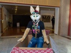 NordicFuzzCon 2019