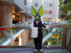 NordicFuzzCon 2019