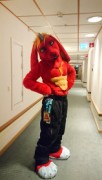 NordicFuzzCon 2019