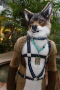 NordicFuzzCon 2019