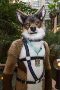 NordicFuzzCon 2019