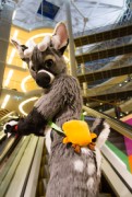 NordicFuzzCon 2019