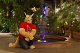 NordicFuzzCon 2019