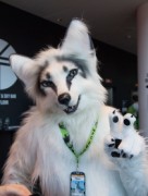 NordicFuzzCon 2020