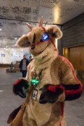 NordicFuzzCon 2020