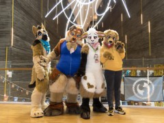 NordicFuzzCon 2020