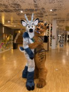 NordicFuzzCon 2020