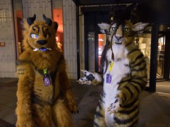 NordicFuzzCon 2020