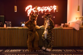 NordicFuzzCon 2020