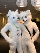 NordicFuzzCon 2020