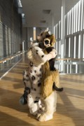 NordicFuzzCon 2020