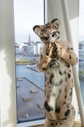 NordicFuzzCon 2020