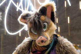 NordicFuzzCon 2020