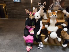 NordicFuzzCon 2020