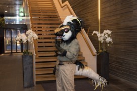 NordicFuzzCon 2020