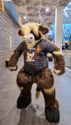 NordicFuzzCon 2023