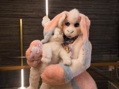 NordicFuzzCon 2023