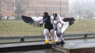 NordicFuzzCon 2023