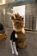 NordicFuzzCon 2023